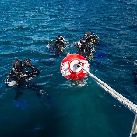 منتجع Camille بانيول سور مير