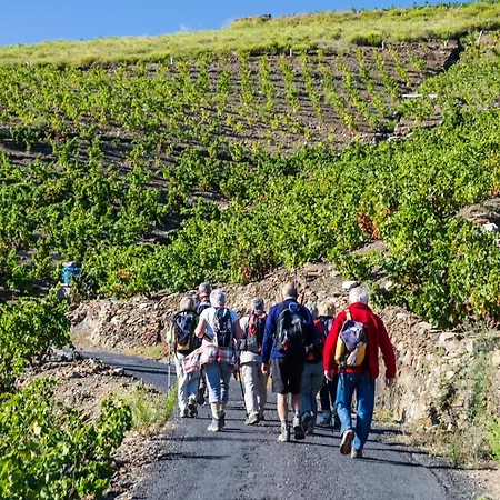 منتجع Camille 3*