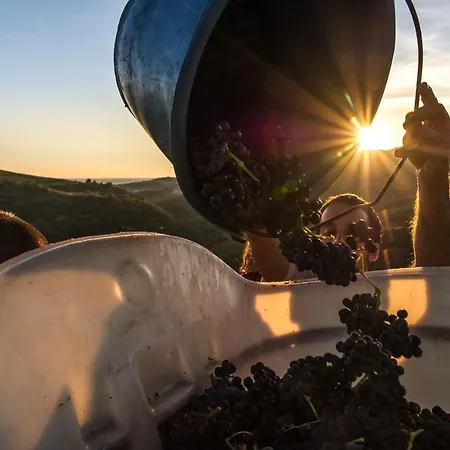 Camille منتجع 3*